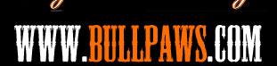 www.bullpaws.com English Bulldogs