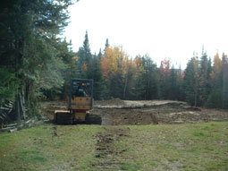 First we had the land cleared approximately 100x100 feet for our kennel